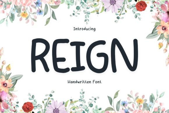 Reign Font: An Editorial Designer's Perspective