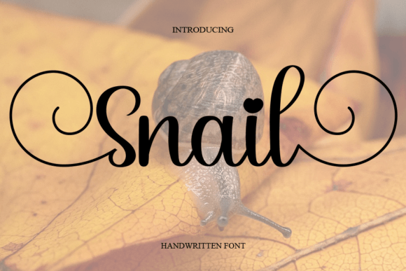 Snail Font: A Warm Touch for Your Brand Story