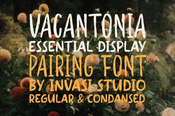 Vacantonia: A Brush Font for Bold Brand Identity